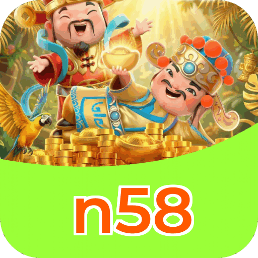 n58